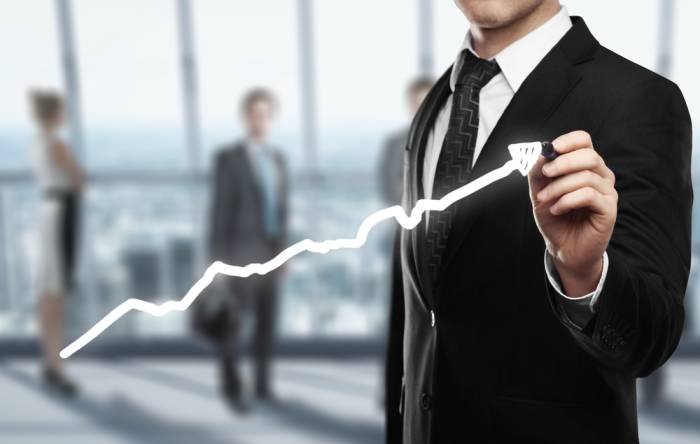 Factors for Successful Business Growth